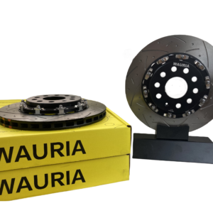 Brake Rotors 2-Piece Lightweight Rear (309.9×22) for Volkswagen Passat (L+R)